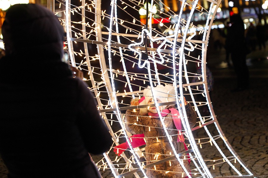 Открути оленю ушко: центр Калининграда украсили к Новому году (фото)