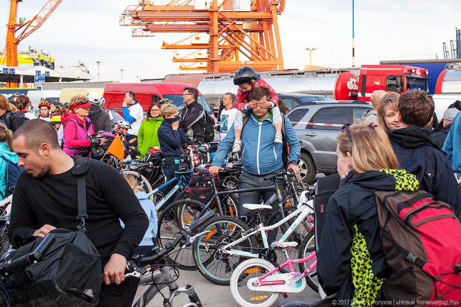 На пароме в Швецию: что такое «Велосипедный потоп» из Гдыни в Карлскруну