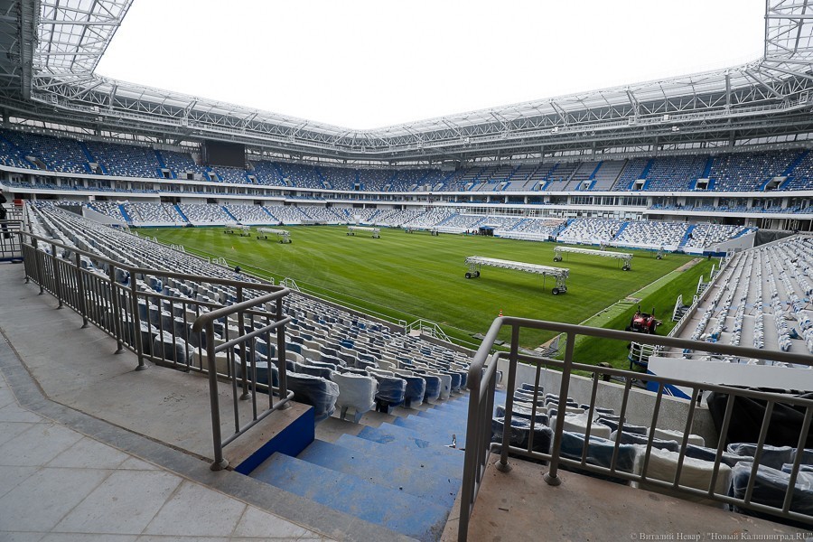 Алиханов предложил создать под трибунами стадиона ЧМ детский технопарк