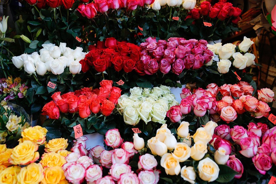 В Калининградской области разрешили открыть цветочные магазины