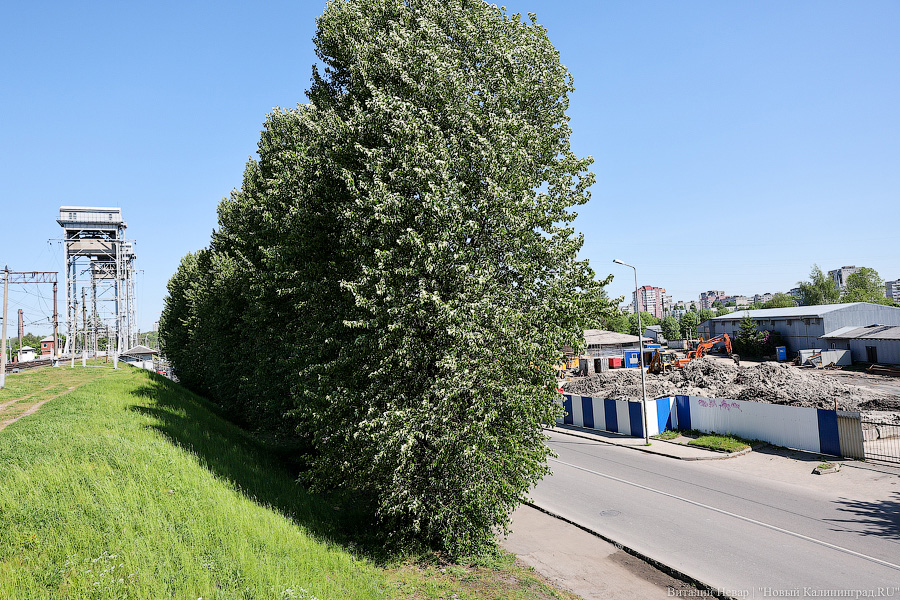 В Калининграде сносят здания ради строительства дублера двухъярусного моста (фото)