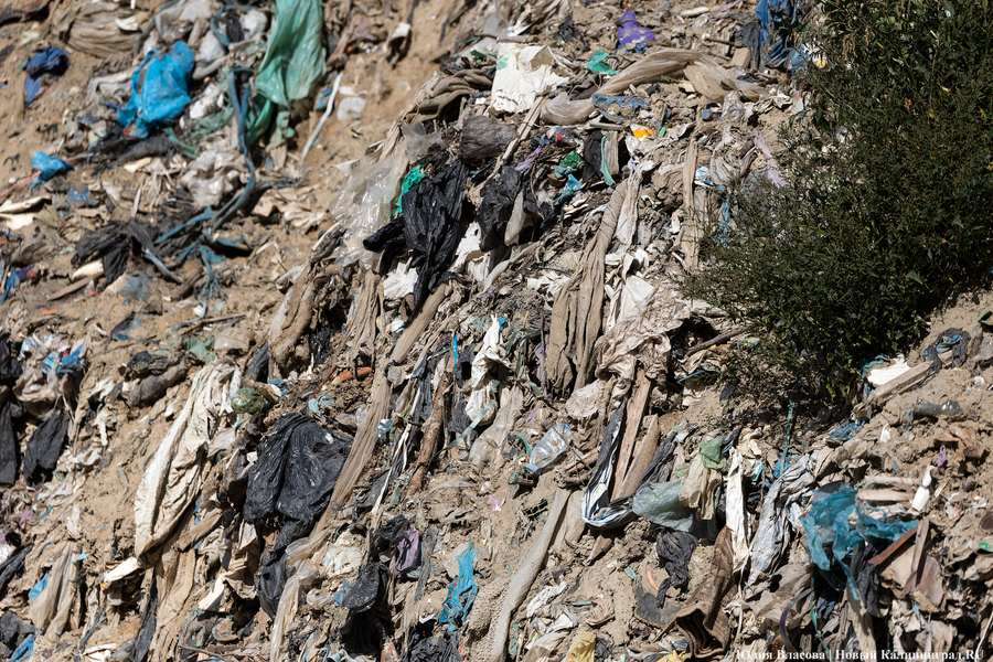 «Стихией управлять не научились»: как глава Минприроды РФ понюхал воздух в Круглово (фото)