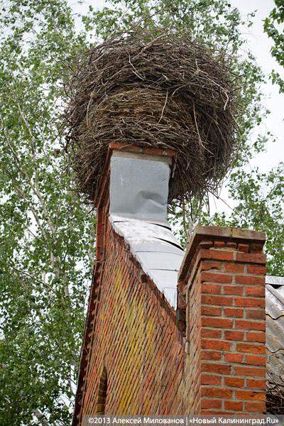 Конец Чехоши: школа поселка Чехово в фотопроекте «Пустые дома»