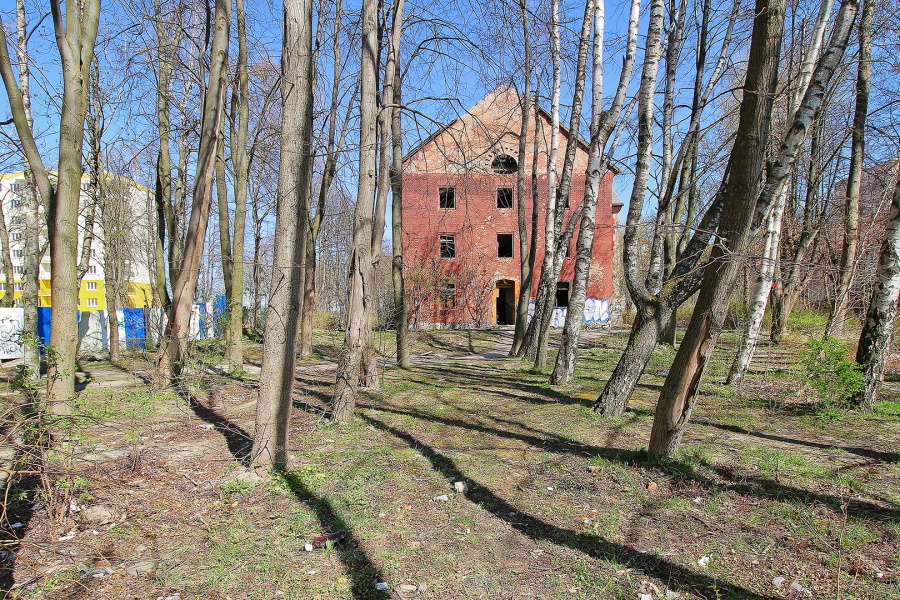 Заброшенную казарму на ул. Борзова в Калининграде выставили на торги (фото)