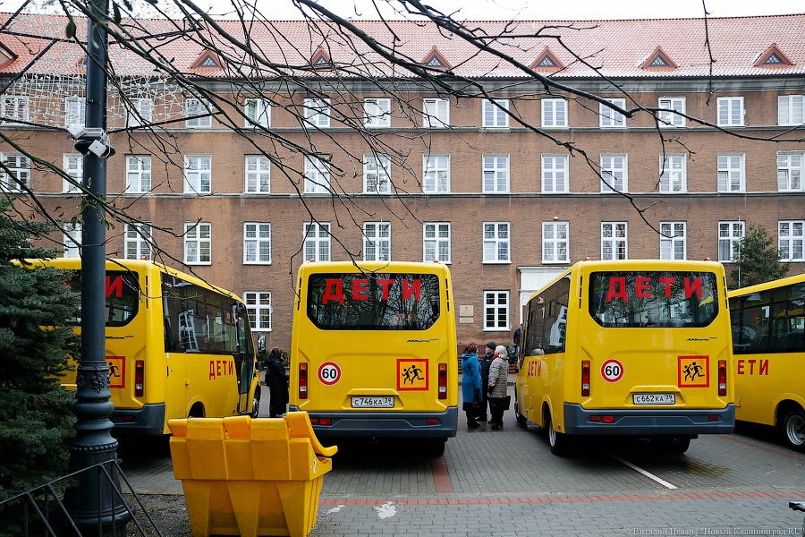 Жёлтые газели: муниципалитетам вручили ключи от новых школьных автобусов