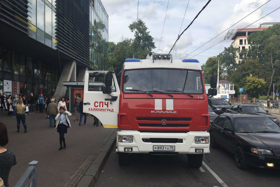 Глава МЧС оценил ущерб от звонков о минировании в миллиард рублей