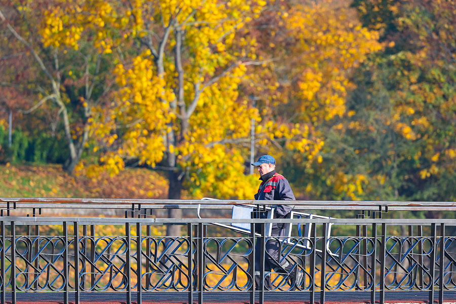 Время тыквы: как в Калининграде проходит необычная осень (фото)