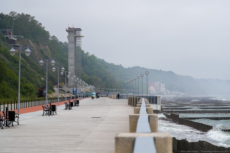 Много лиственницы и чуть песка: как выглядит светлогорский «пляж»  