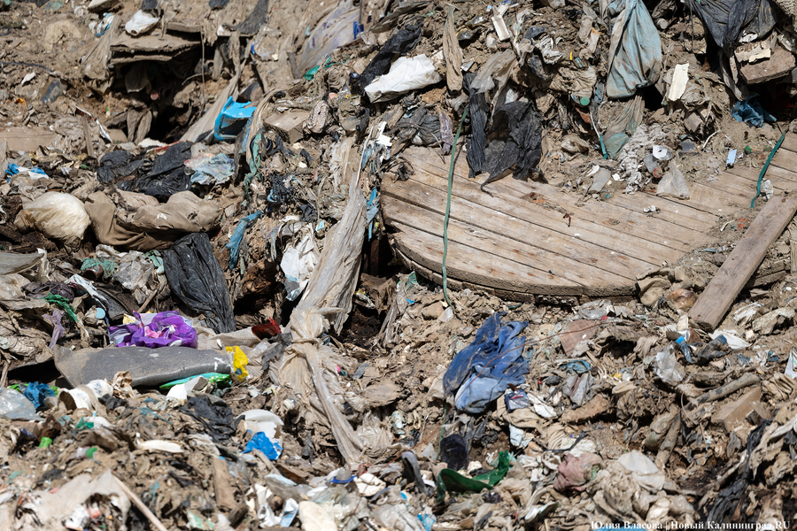 «Стихией управлять не научились»: как глава Минприроды РФ понюхал воздух в Круглово (фото)