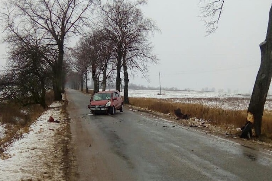 В Гусеве строитель угнал авто нанимателя и врезался на нем в дерево (фото)