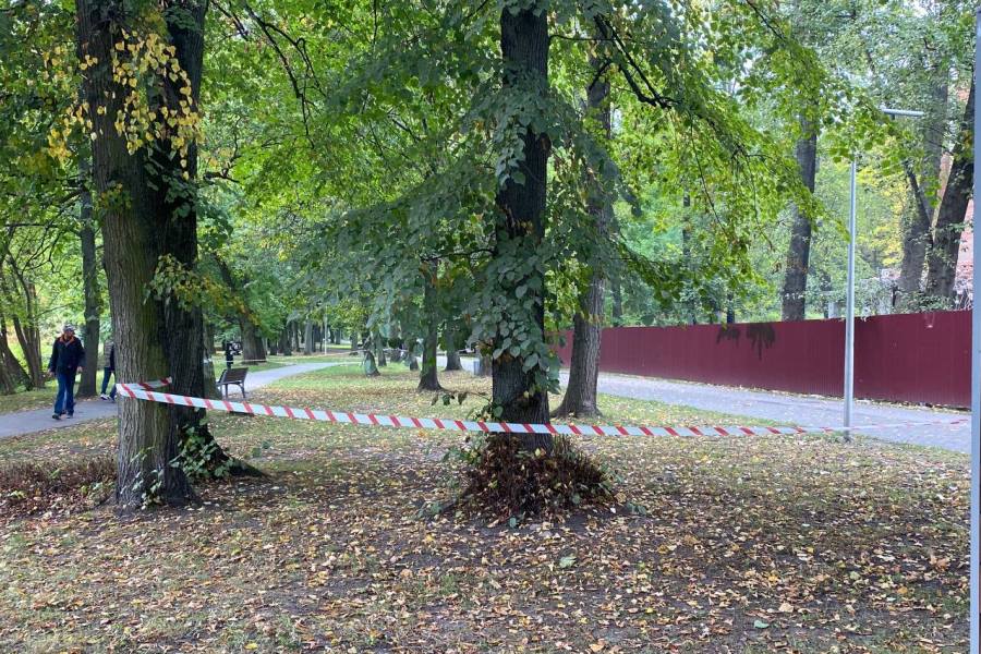 В Калининграде в Южном парке начали сносить недостроенную мечеть (фото)