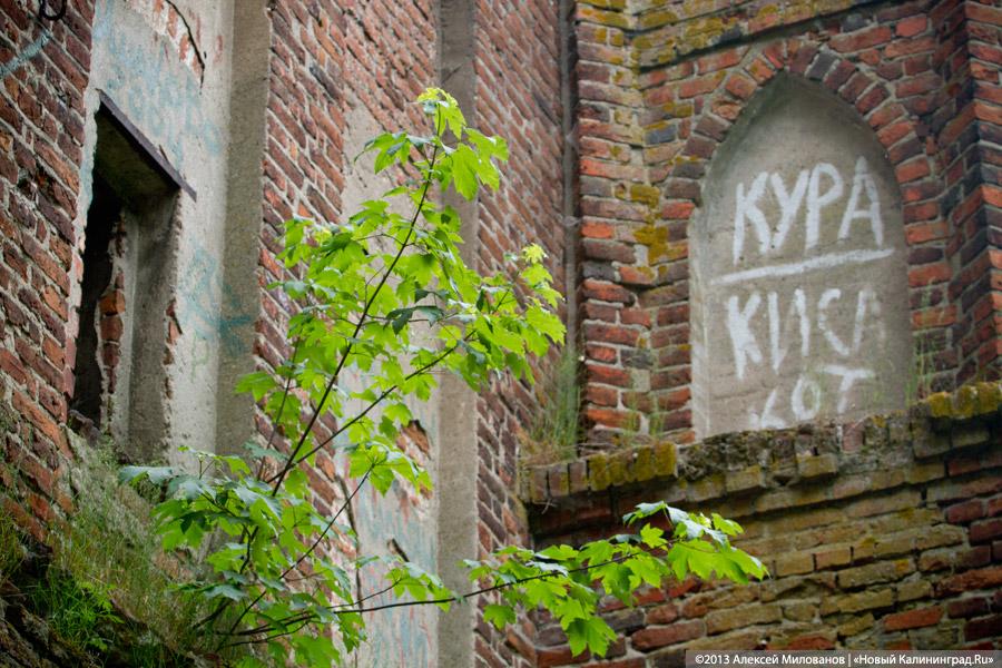 Часы и вороны: кирха в поселке Ушаково приходит в упадок