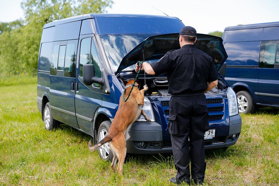 Пёс Барбос и наркокросс: под Калининградом прошли соревнования кинологов