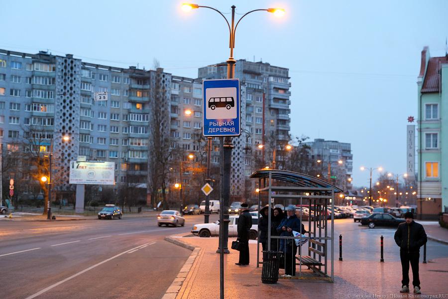 Жертвы транспортной войны: как калининградцы на работу добирались (фото)
