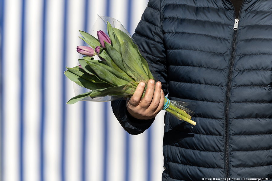 Кругом мимозы и тюльпаны: как выглядят улицы Калининграда 8 марта (фото)