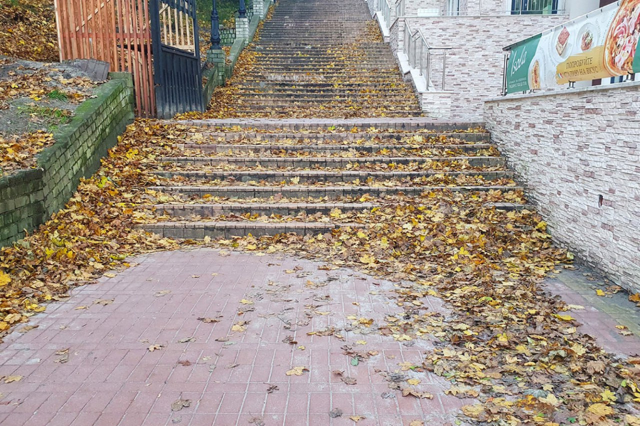 Шибаев: в Пионерском лестницу к пляжу на центральном проезде сделают из гранита