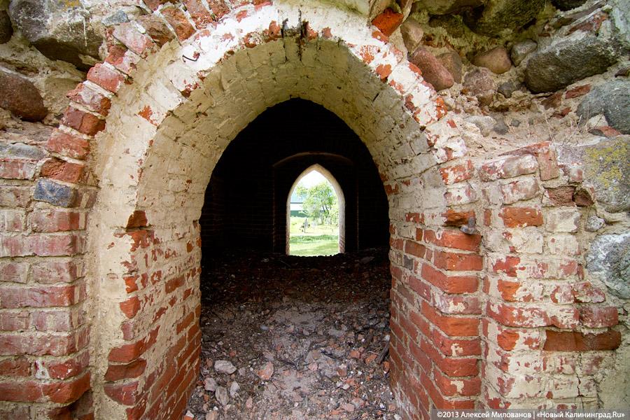 Навоз и куры: кирха 14-го века в поселке Каштаново стала пастбищем для скота