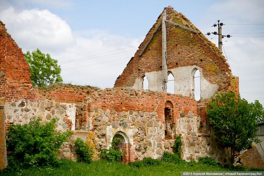 Навоз и куры: кирха 14-го века в поселке Каштаново стала пастбищем для скота