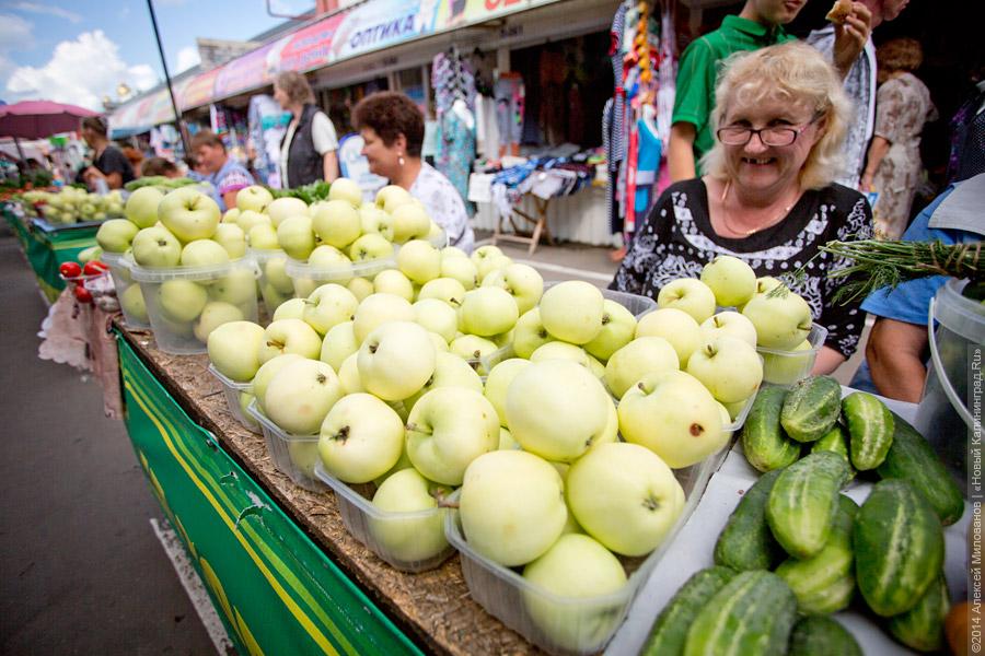 «Паники никакой нет»: что происходит с ценами на овощи и фрукты на рынке Калининграда