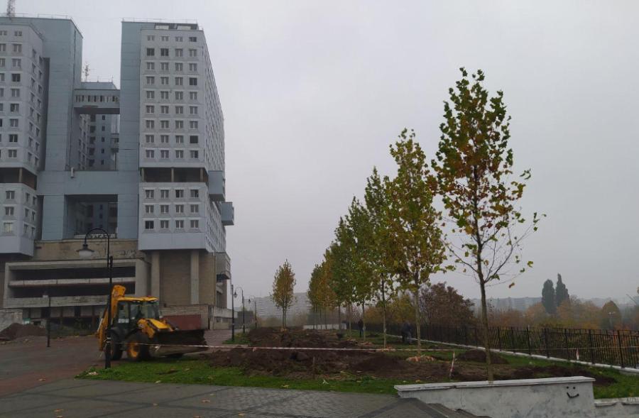У Дома Советов высаживают платановую аллею (фото)