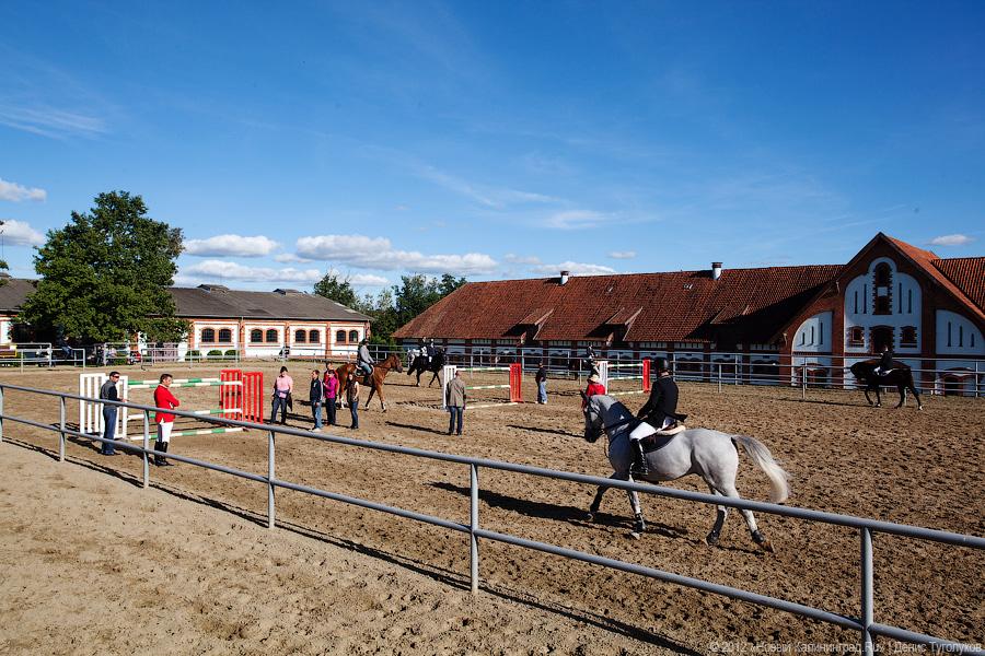 «Кубок президента РФ для немцев»: фоторепортаж с турнира по конкуру в Георгенбурге
