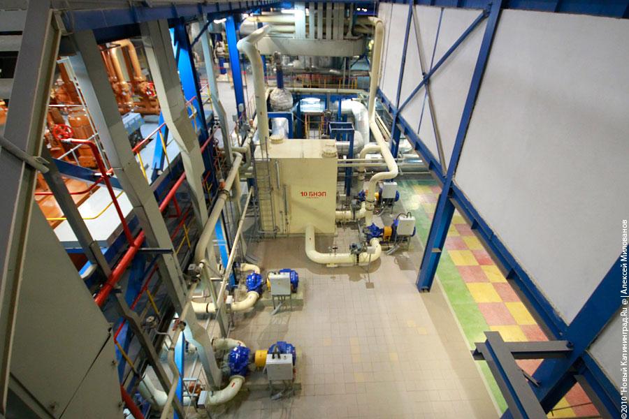 "Дважды два": фоторепортаж "Нового Калининграда.Ru"