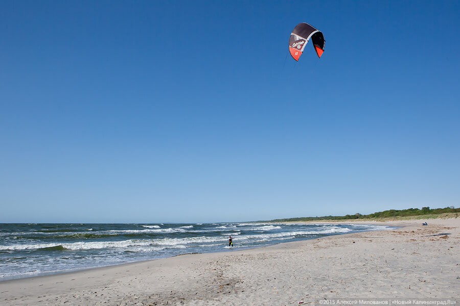Заняться йогой на спине слона: пятерка необычных услуг в гостиницах мира