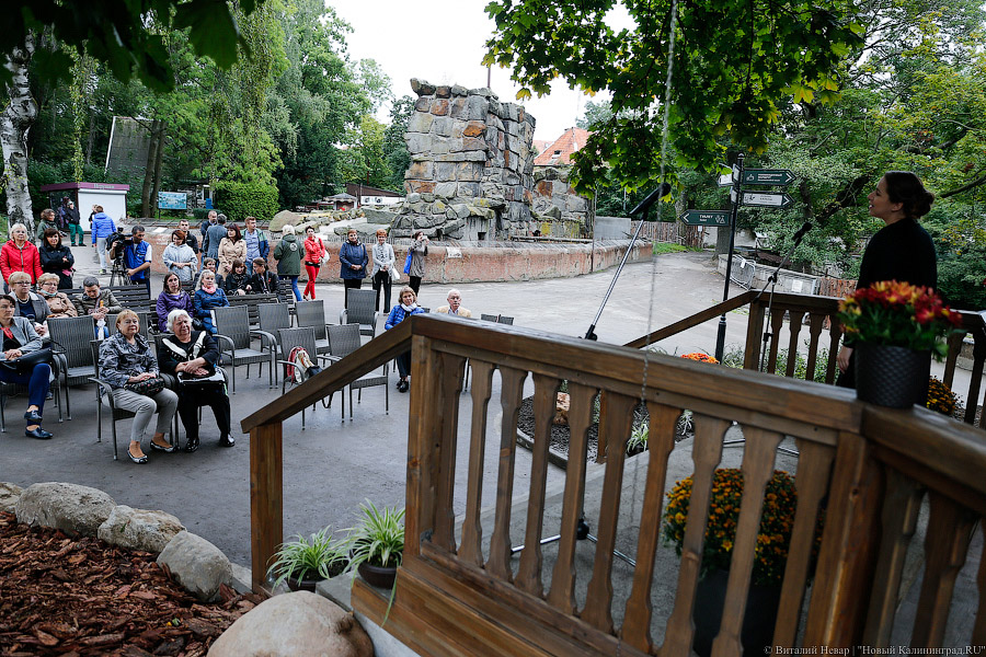 Книги, звери, люди: в Калининградском зоопарке открыли читальный павильон