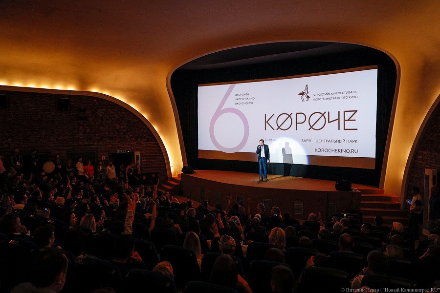 «Короче» № 6: фоторепортаж «Нового Калининграда» с открытия кинофестиваля