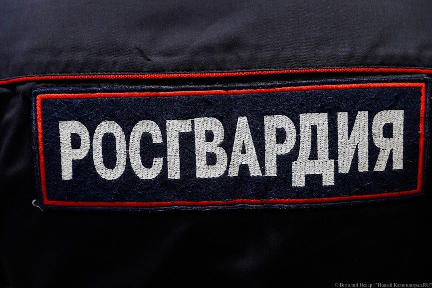 Росгвардия предлагает сделать свои госзакупки секретными
