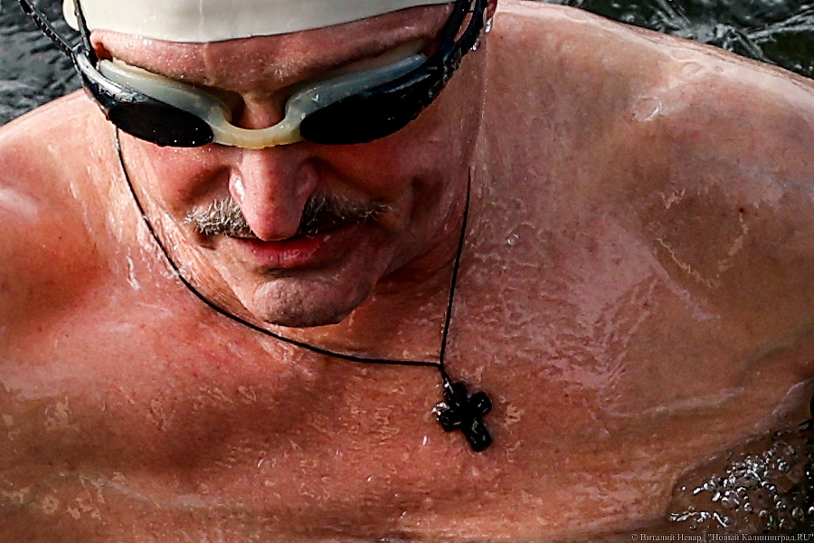 Время моржей: в  Калининграде прошли соревнования по зимнему плаванию (фото)