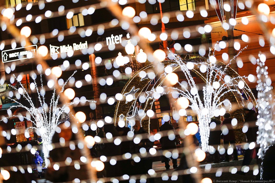 Открути оленю ушко: центр Калининграда украсили к Новому году (фото)