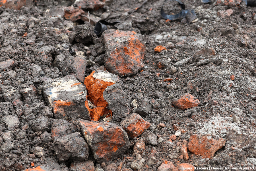 Руины Кнайпхофа: как проходит подготовка к благоустройству острова Канта (фото)