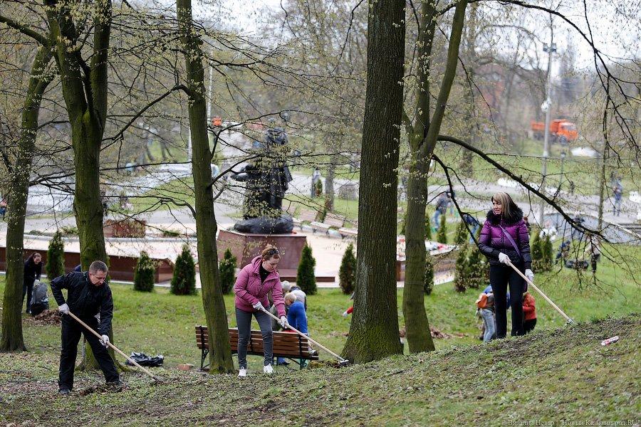 Селфи с граблями: в парке Победы прошёл общегородской субботник