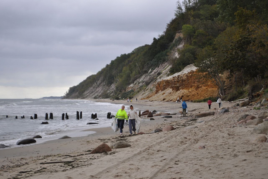 В правительстве рассказали, сколько мусора собрали у прибрежных зон в 2025 году