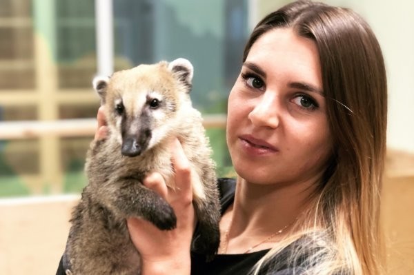 Каникулы в Zorro Park: приходи обняться с питоном и получить массаж от енотов