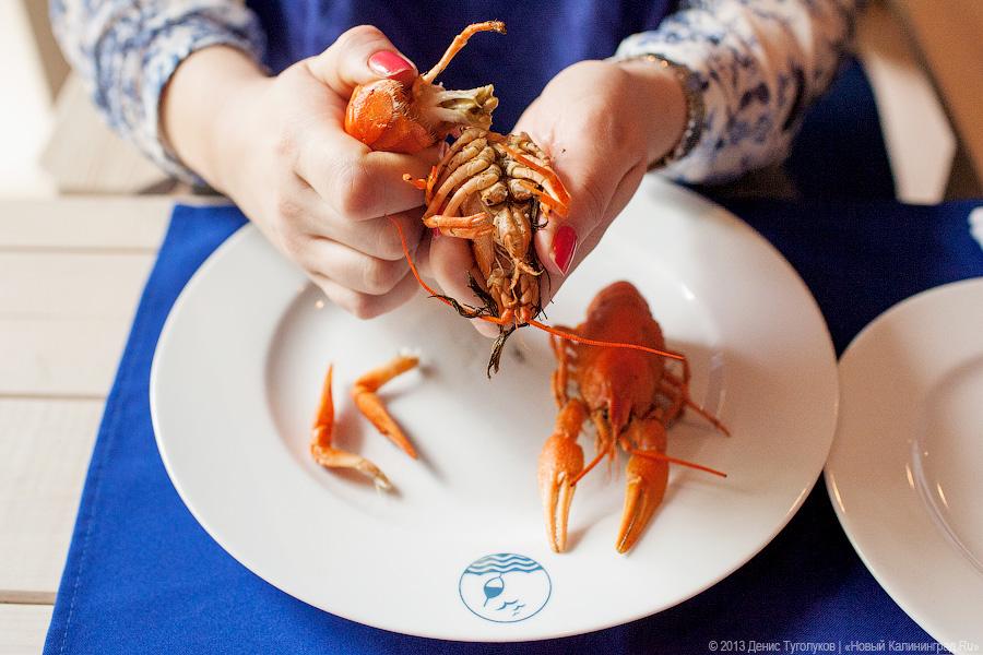 Где раки зимуют: владелец рачевни «Поплавок» Виталий Лозинский