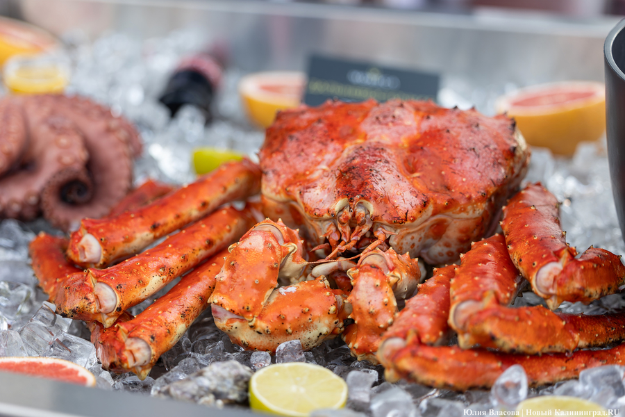 И рыба, и мясо: в Зеленоградске открылся гастрономический «Фиштиваль» (фото)