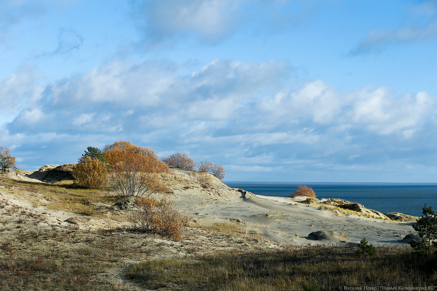 Виталий Невар / Новый Калининград