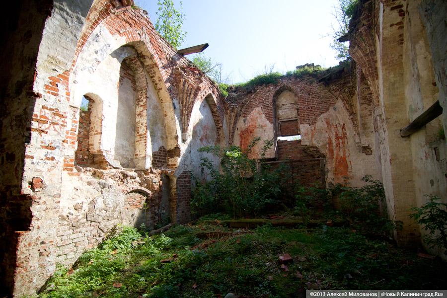 «Фрески и аисты»: вокруг кирхи в посёлке Кумачево идёт судебная тяжба