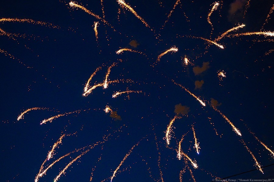 Фото — Виталий Невар, «Новый Калининград»