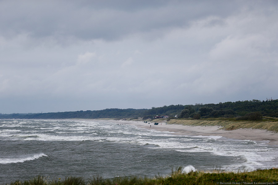 С начала года пограничники зафиксировали 3 десятка нарушений режима госграницы