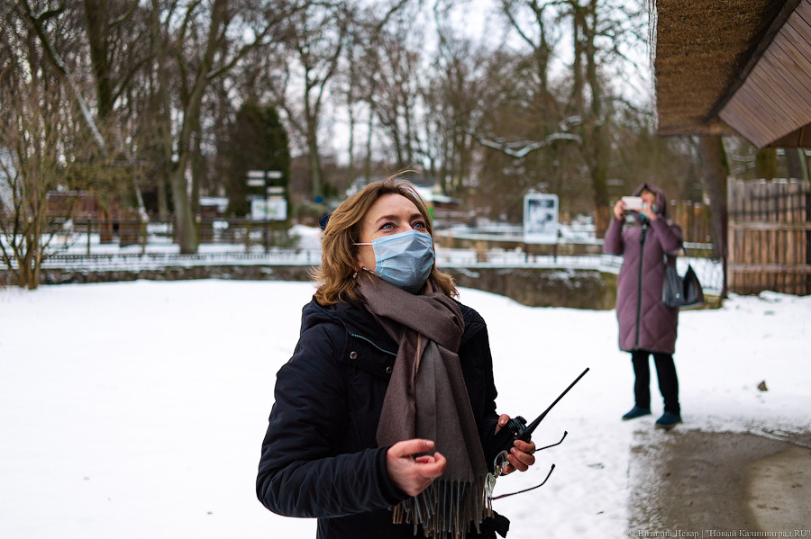 Проще — не всегда правильнее: в Калининградском зоопарке отремонтировали исторические вольеры (фото)