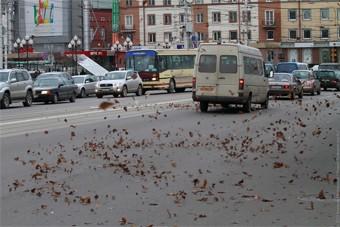 МЧС предупреждает об усилении ветра в четверг с порывами до 25 м/с