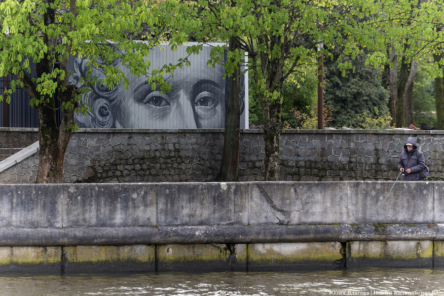 Город Канта: фоторепортаж к 300-летию ученого