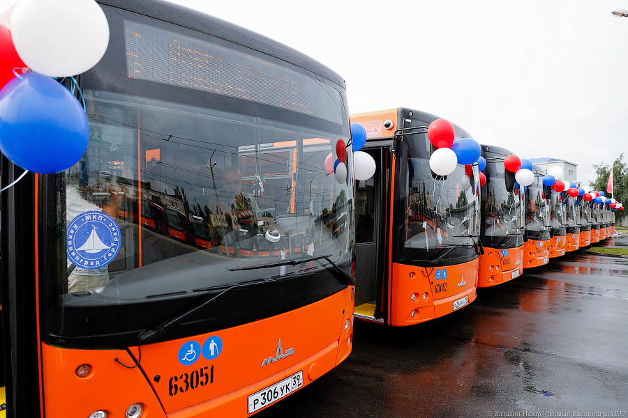 Тариф на будущее: 6 вопросов о росте цен на проезд в автобусах Калининграда