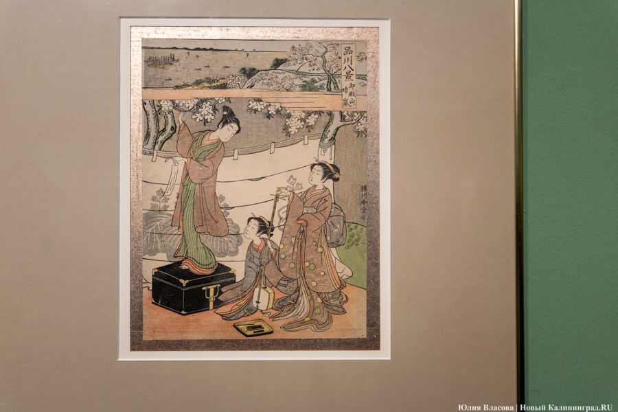 Япония рядом: в Музее изобразительных искусств открылись Дни Эрмитажа (фото)