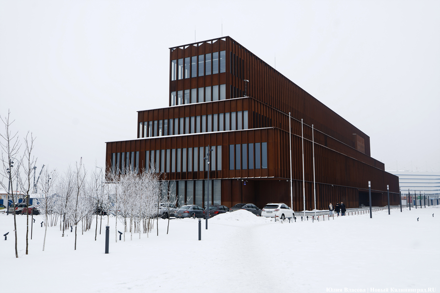 «Театральная кукла»: в РГИСИ на Острове стартовал «Большой дебют»