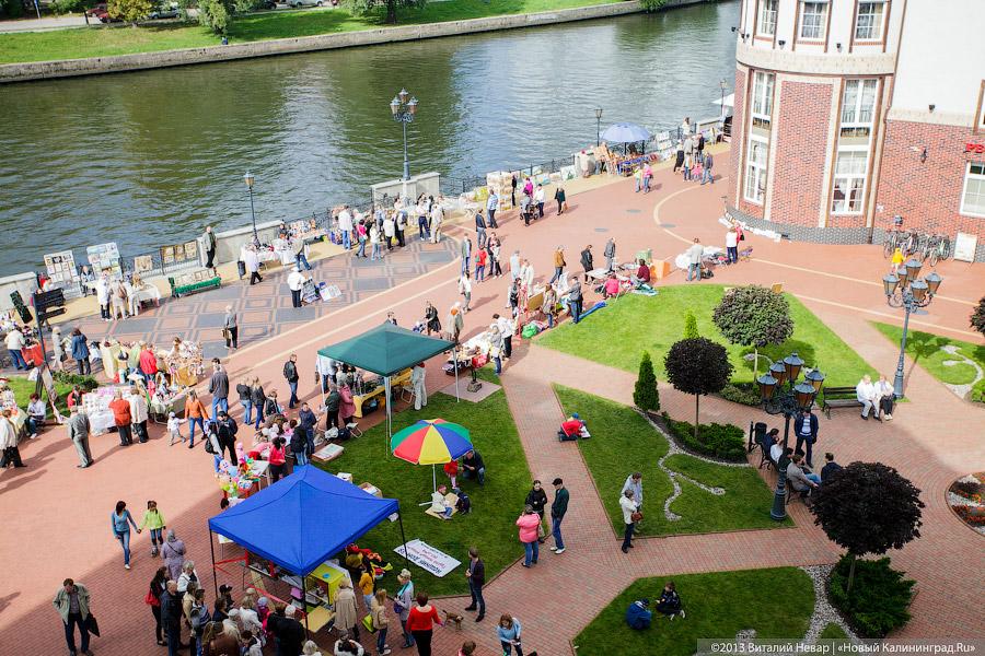 Кот — друг человека: в Калининграде отметили очередной кошачий праздник