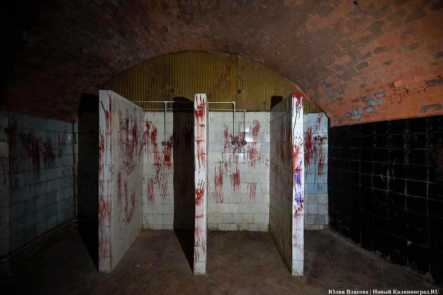 «Начало новой жизни»: в Астрономическом бастионе прошёл субботник (фото)